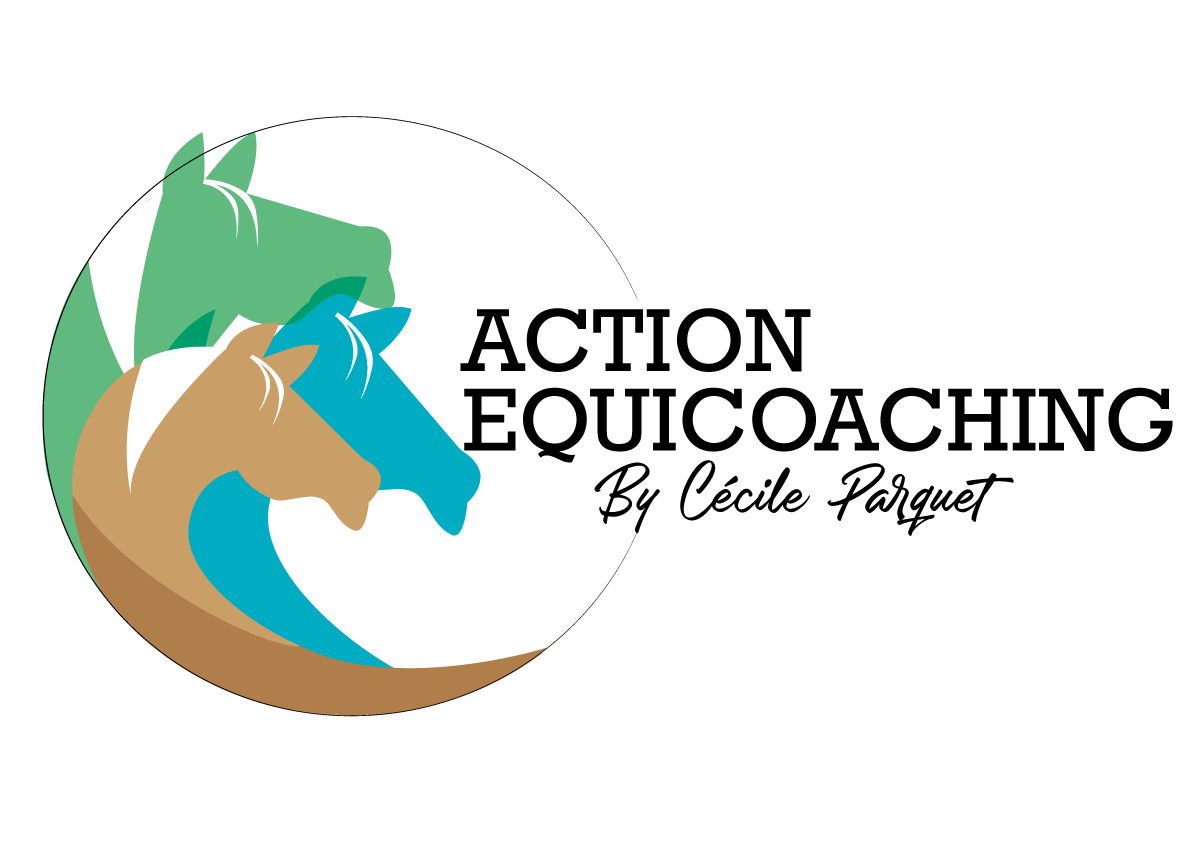 Action Equicoaching – Coaching & Team Building avec Chevaux